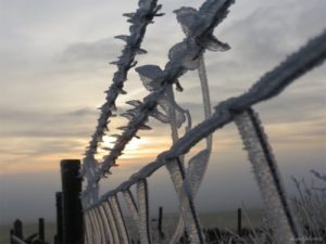 Winter scene good time for business and legal planning